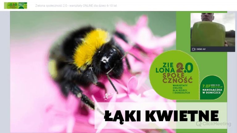 Sadzenie nanołączki w doniczce – warsztat dla dzieci z Mateuszem Skłodowskim 7.07.2020