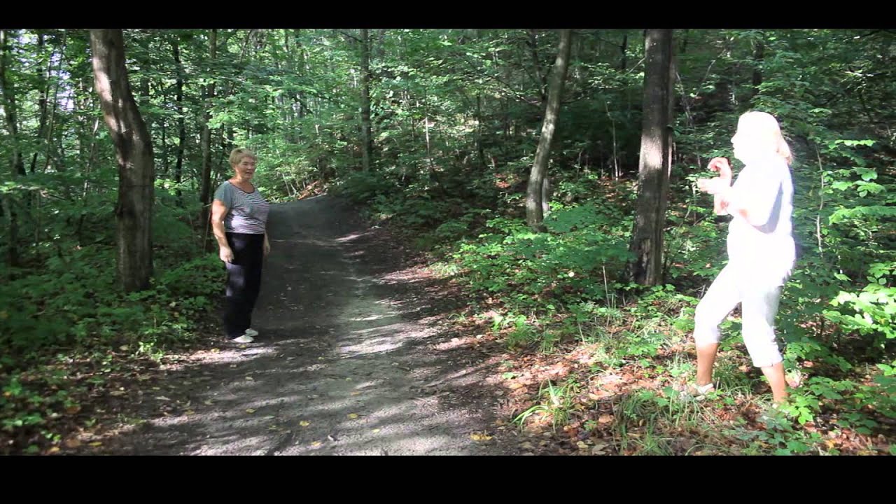 Geflechte/Sploty – MI-RO-RO in Kooperation mit dem Trialog Netzwerk junger Ideen e.V.